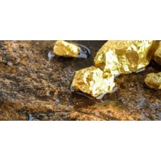 Nexus Gold Signs LoI with Leocor Ventures